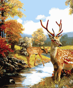 Paint by Numbers 40x50, VENADO DEL BOSQUE
