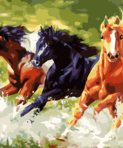 Paint by Numbers 40x50, MUSTANG 2