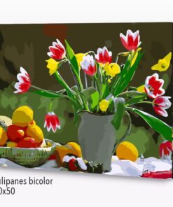 Paint by Numbers 40x50, Tulipanes bicolor