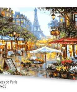 Paint by Numbers 50x65, Luces de Paris