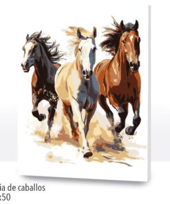 Paint by Numbers 40x50, Furia de caballos