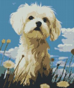 Diamond Painting 35x45, Explorador Peludo